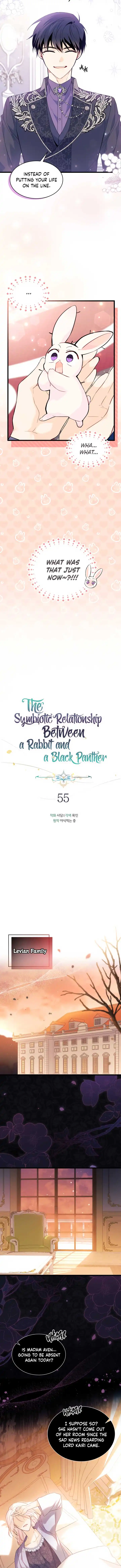 The Symbiotic Relationship Between a Panther and a Rabbit Chapter 55 5